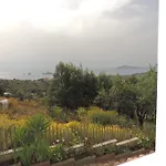Lejlighed Mariolu 3